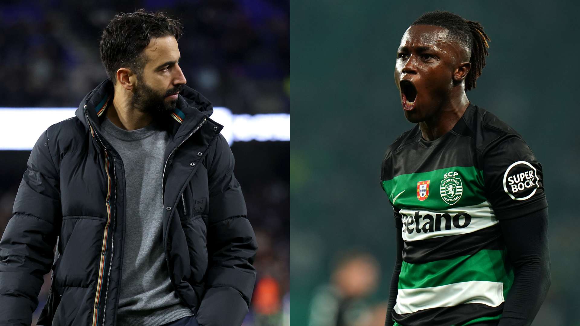 的迅速成长 的迅速成长