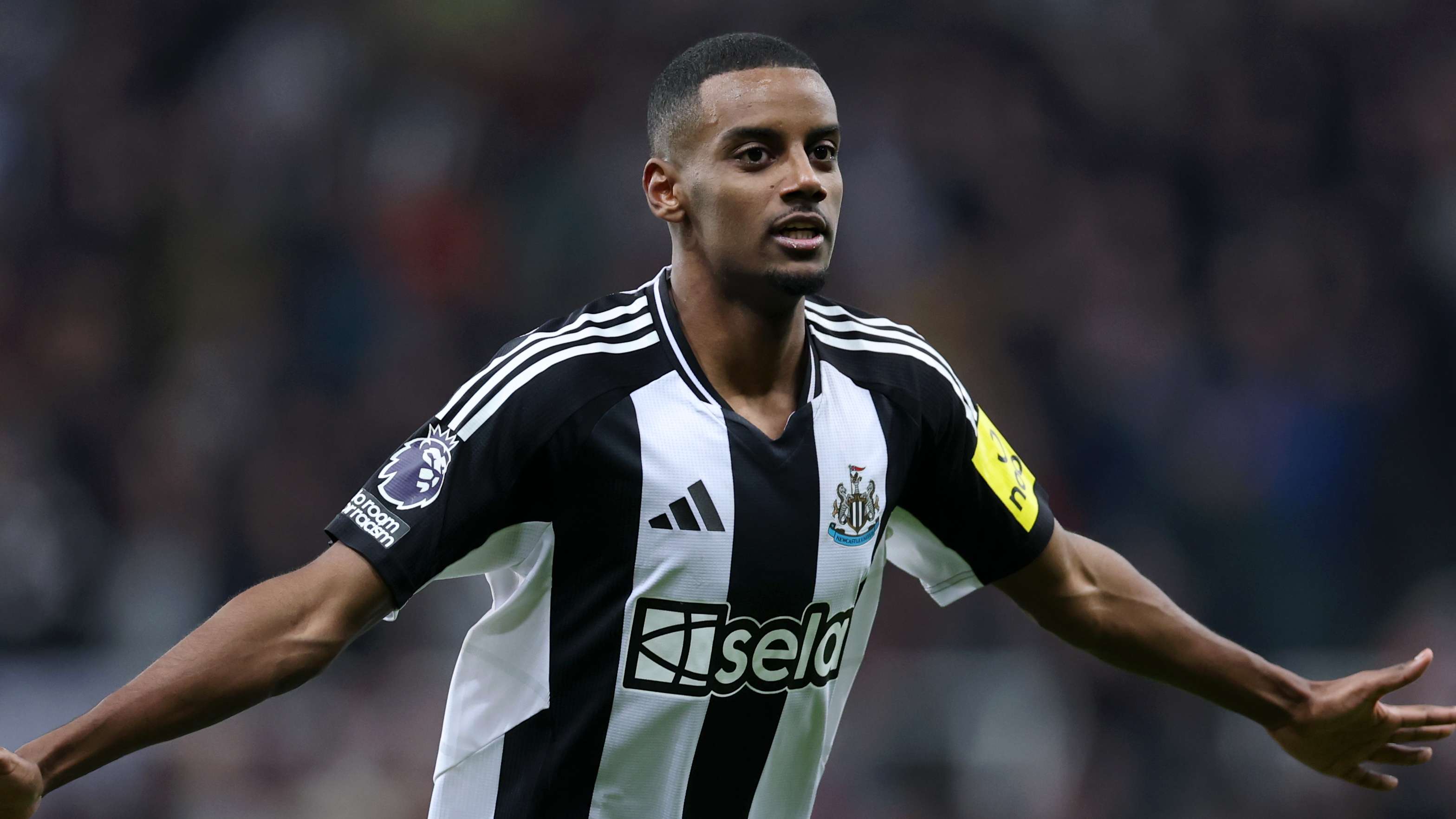 贝尔纳多 贝尔纳多