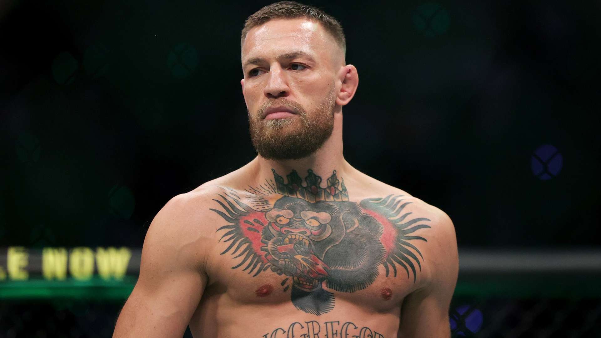 未來有望成 未來有望成