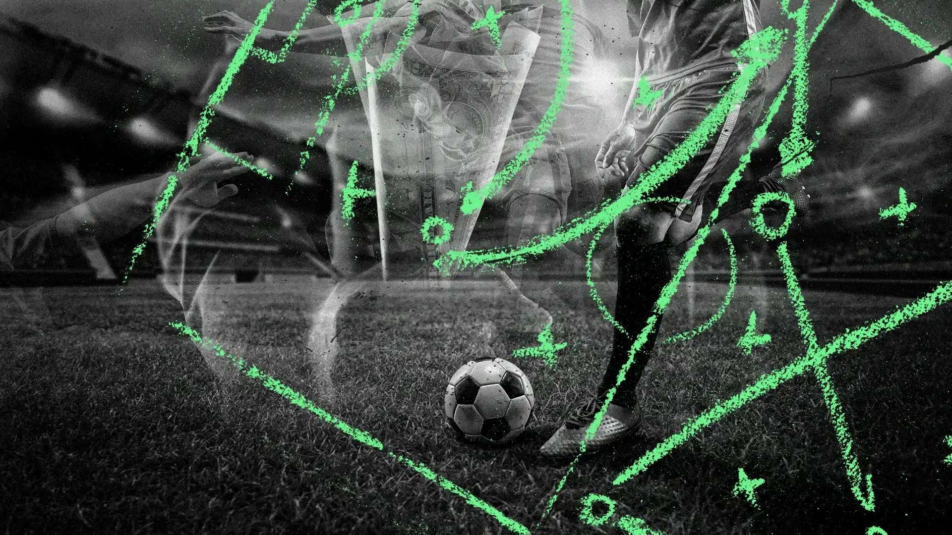 面发展的公 面发展的公